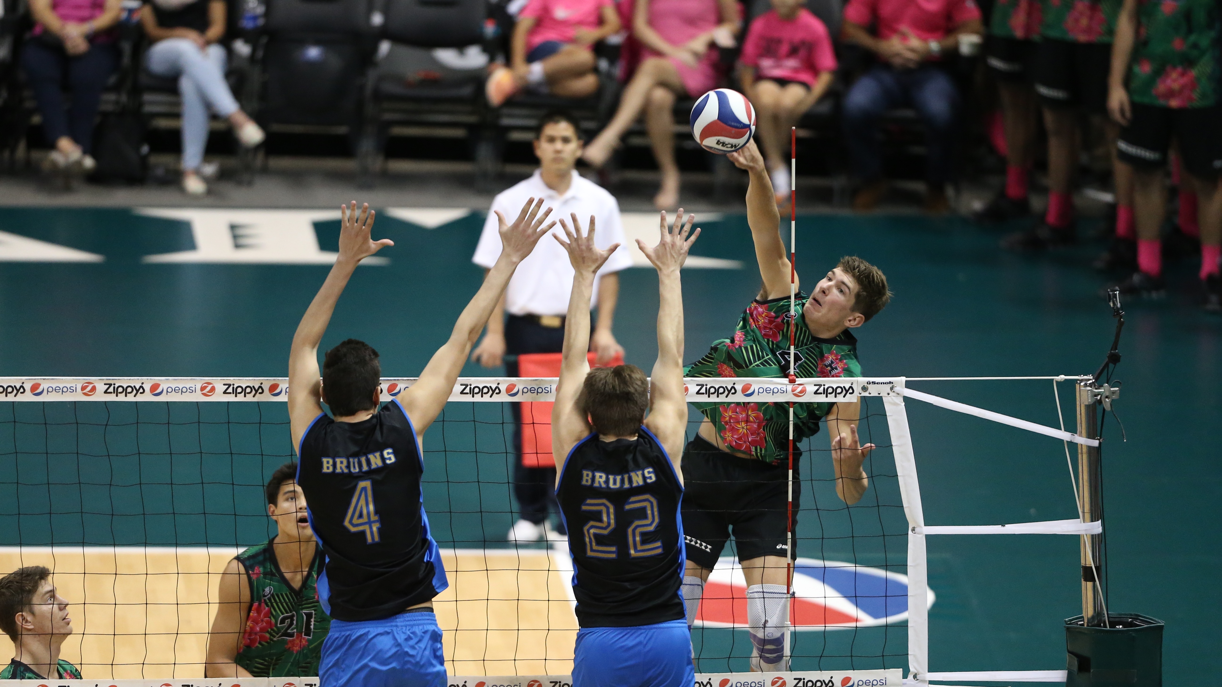 Stijn van Tilberg Hawaii men's volleyball