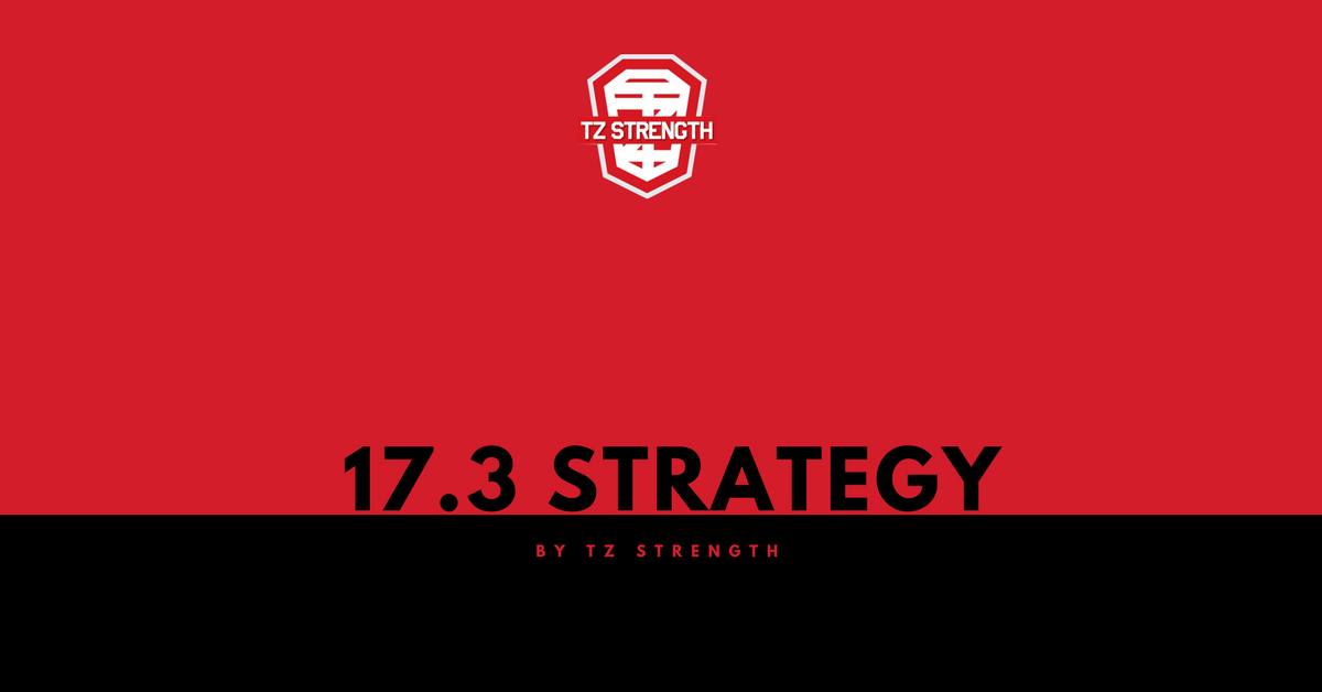 TZ Strength 17.3 Strategy