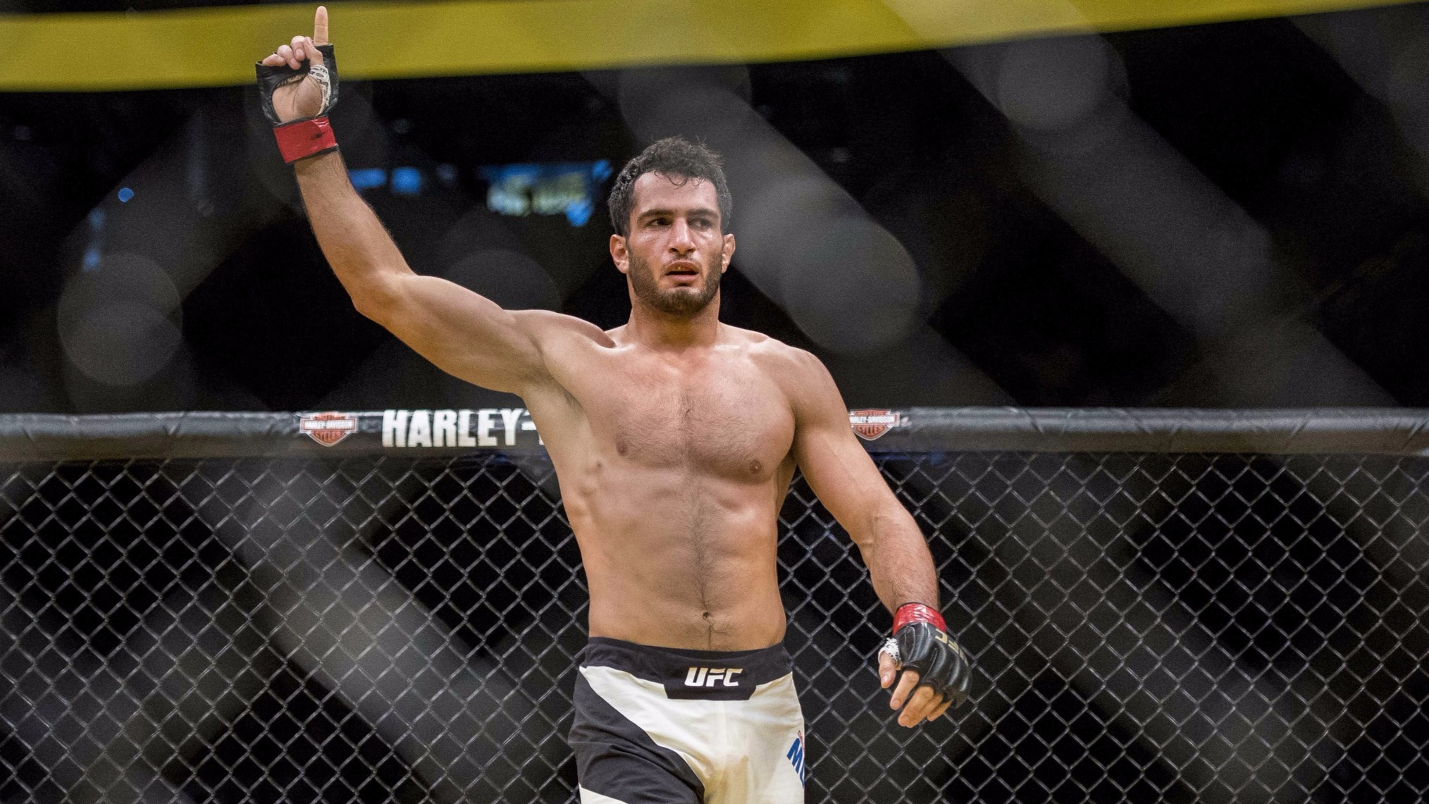 Gegard Mousasi