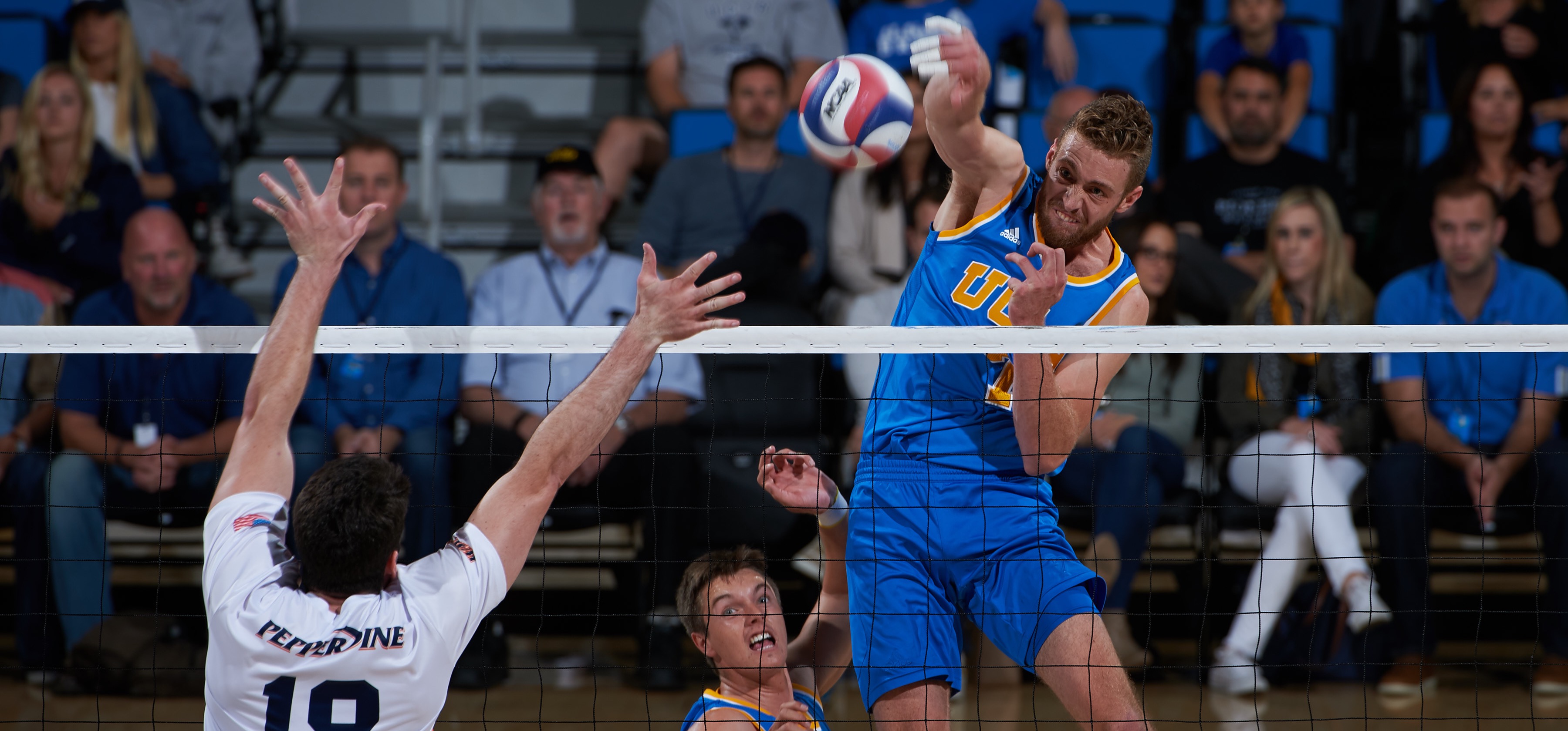 Mitch Stahl UCLA Men's Volleyball