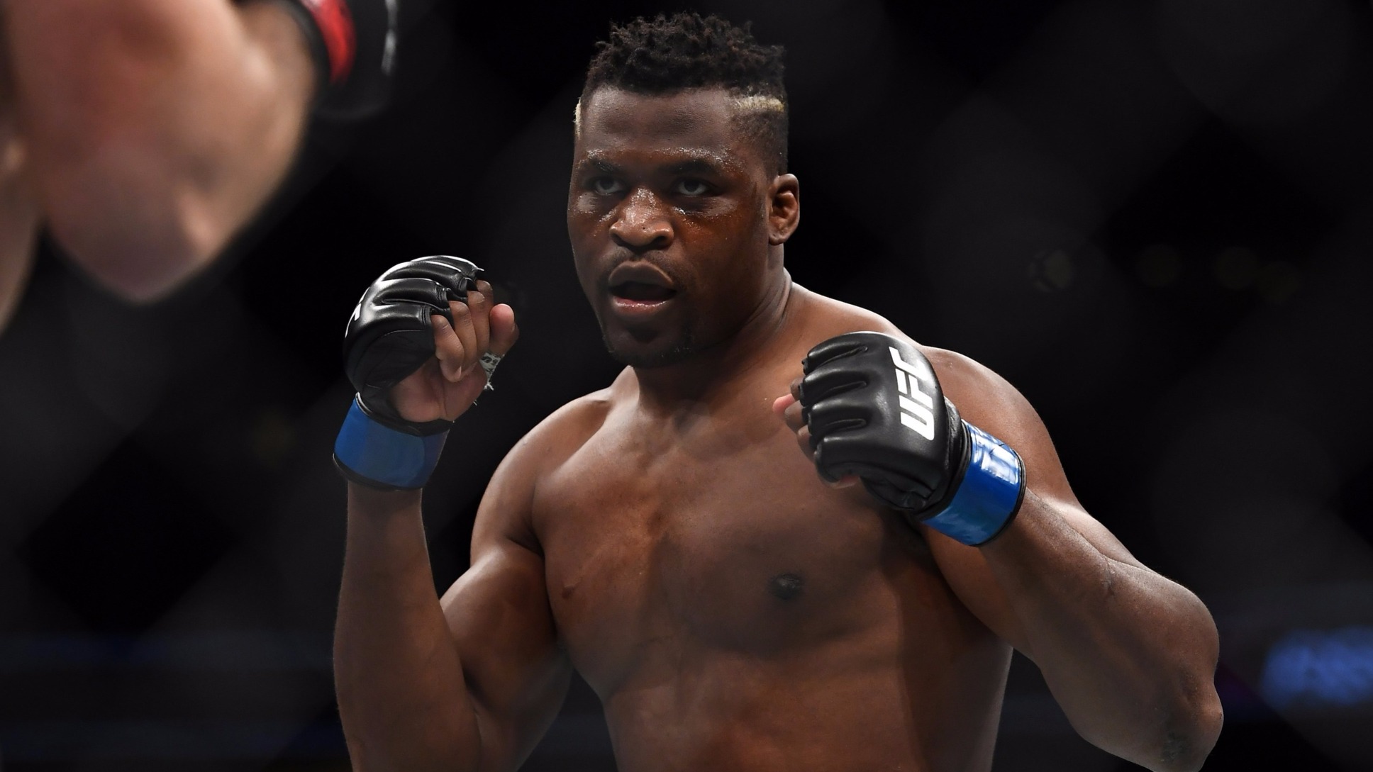 Francis-Ngannou-UFC-Fox-Arlovski