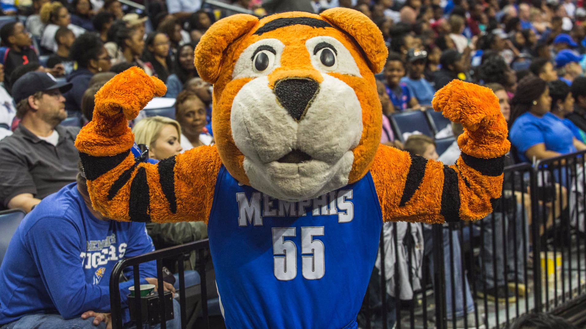Courtside With Cheer And Dance At Memphis Madness - Varsity TV